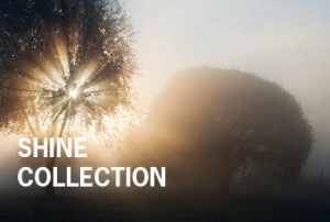shine_collection