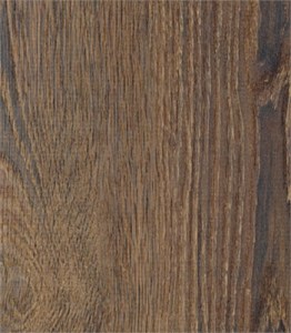 corsica-oak